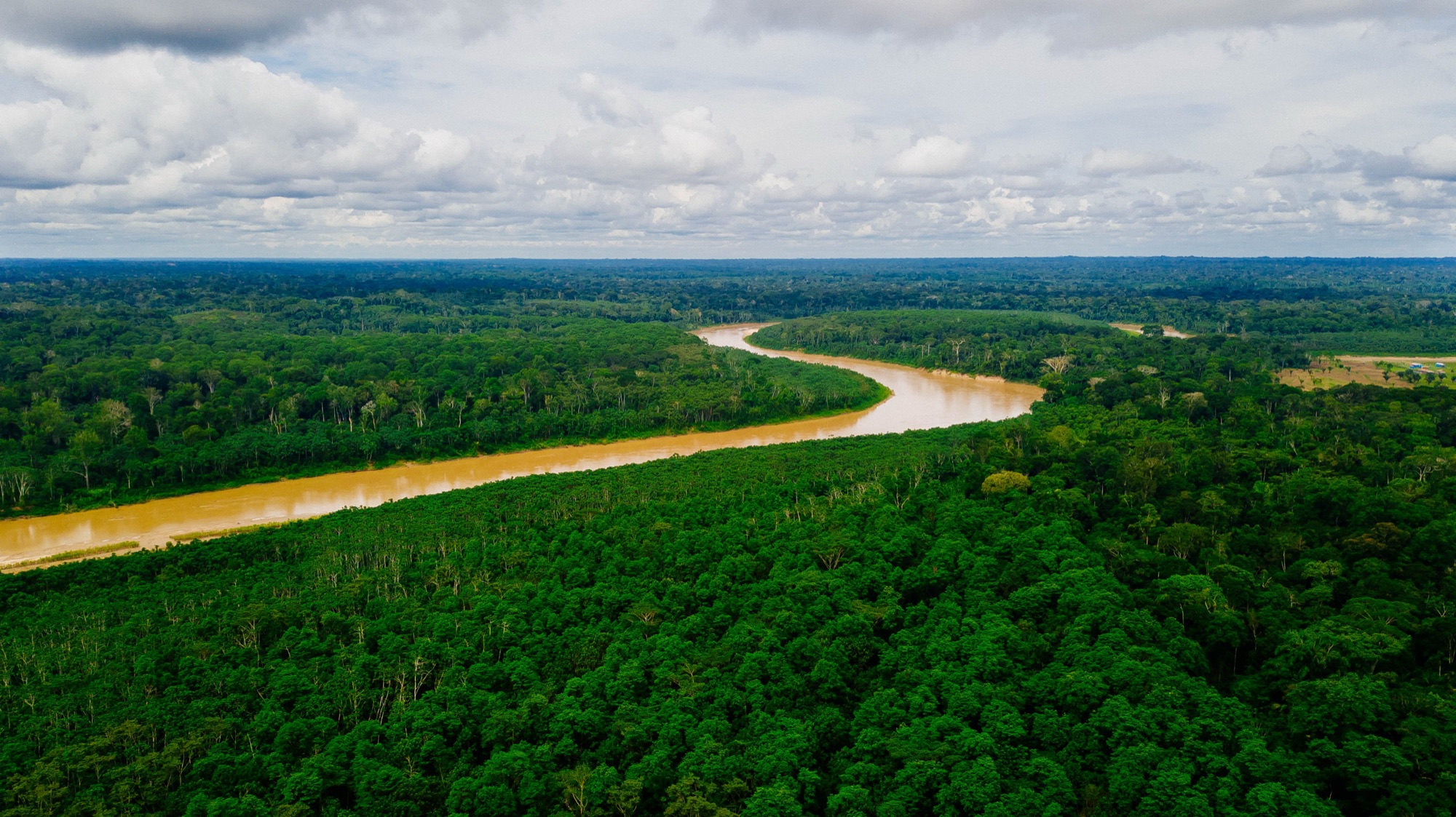 The Rio Gregório winding through the forest, seen from above